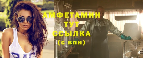 метадон Богданович