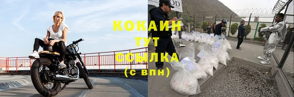 твердый Богородицк