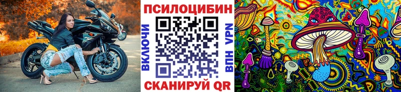 Купить закладки  Карабаш  Галлюциногенные грибы Magic Shrooms 